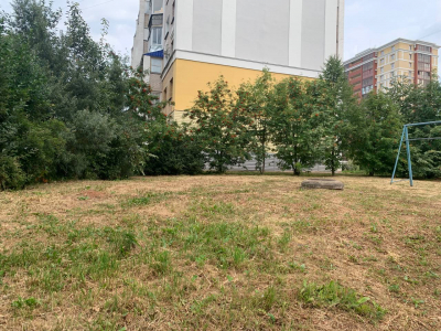 Луганская 64к1 Покос травы